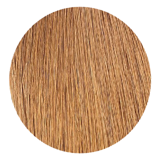 Hand Tied Tape-In Darkest Golden Brown (7B)