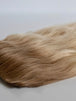 10N (Lightest Neutral Blonde)