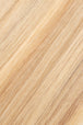 10/8WBL (Warm Blonde Mix)