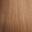 (#4q+18cpiano) Rooted Light Piano Sandy Blonde
