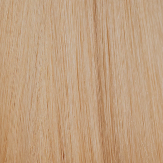 (#Platinum) White Platinum - Eastern European Clip-In Extensions