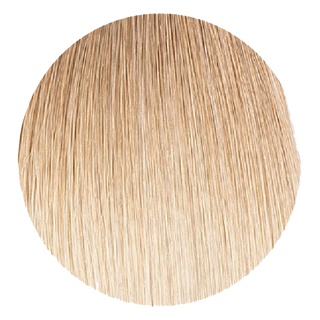 Hand Tied Tape-ins Beige Ombre Blonde (12)