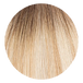 Keratin Bond Extensions Bright Blonde with Lowlight (13)